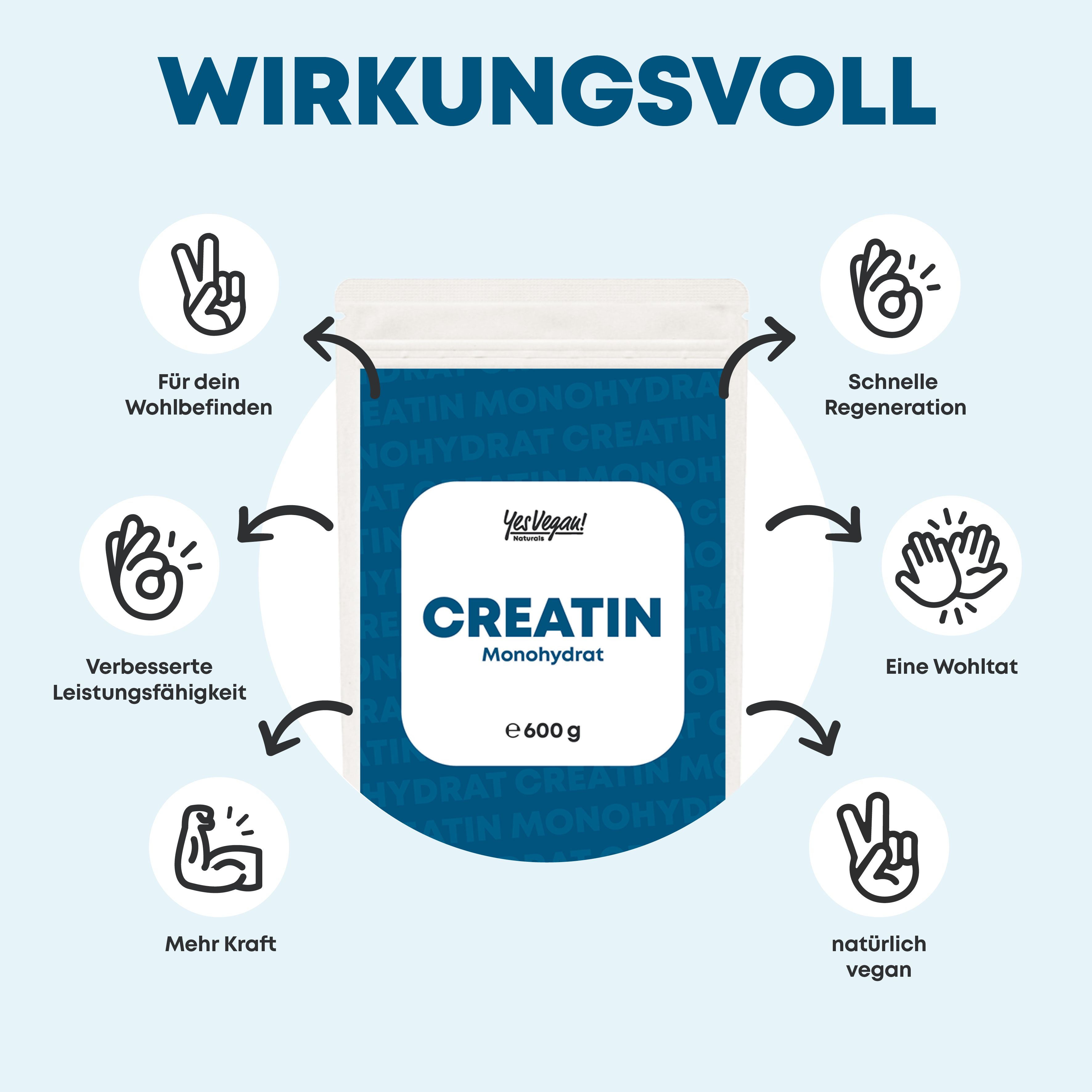 Yes Vegan®  Creatin Monohydrat Pulver (600g) - Kreatin Pulver vom Markenhersteller