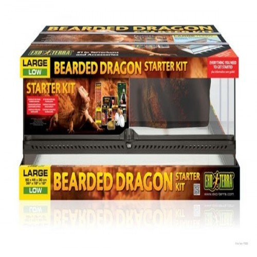 Kit inicial para terrário Exo-Terra Dragon