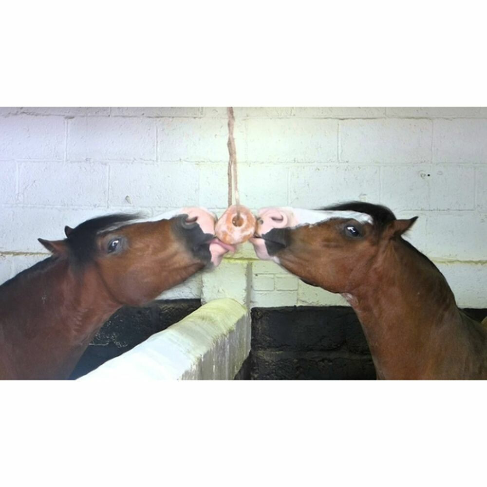 Excellent Salt Lick Himalaya 2-3 kg