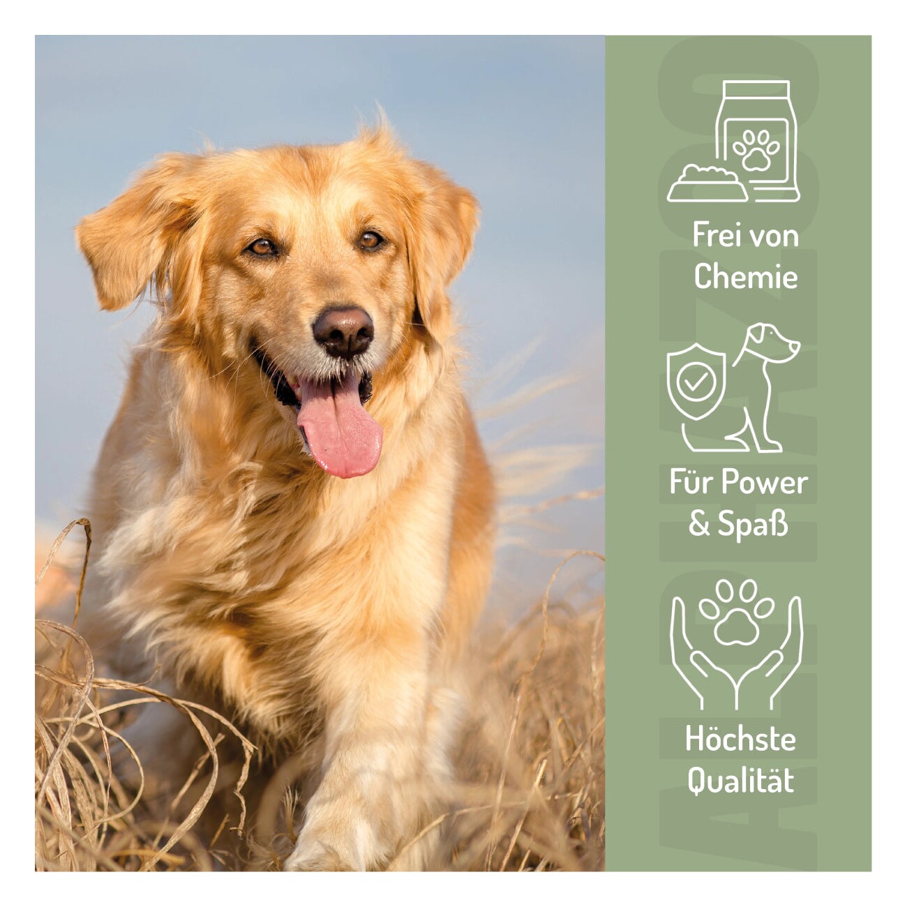 ALPHAZOO Spielfreude Gelenktabletten für Hunde 75 g