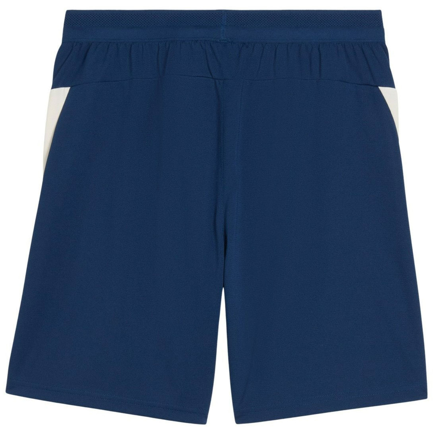 Puma Portugal Training Short