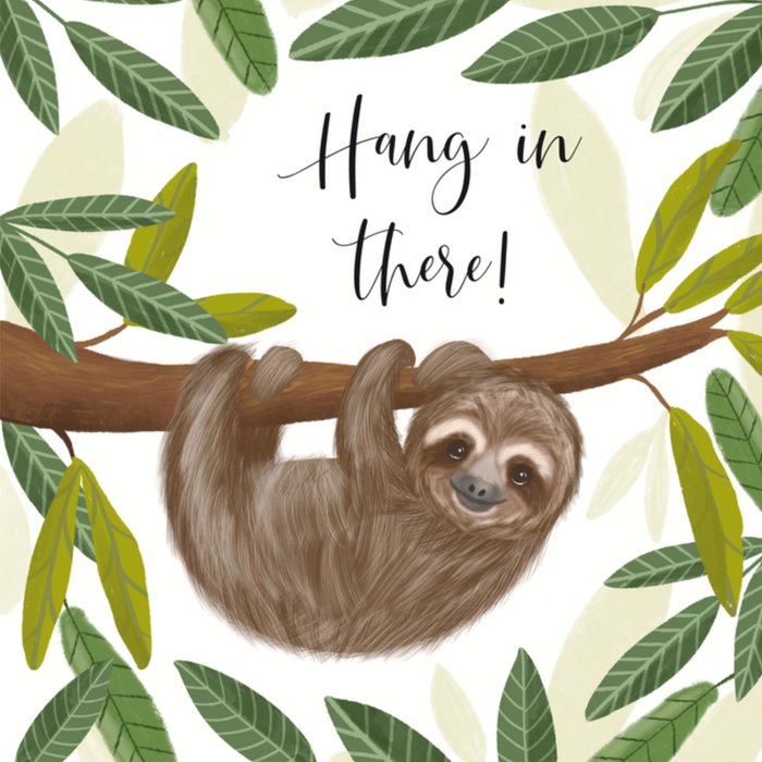 Tsjip | Succeskaart | Hang in there!