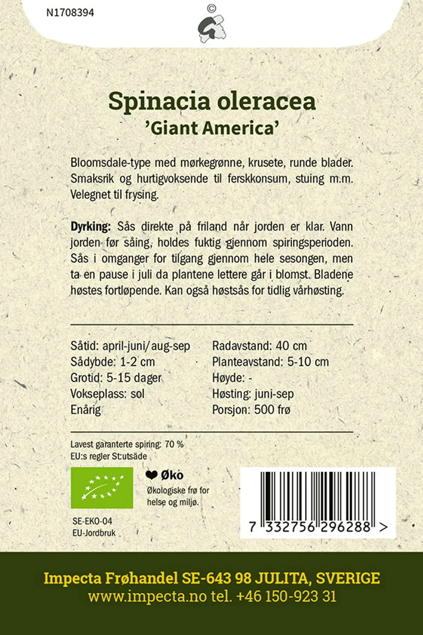 Spinacia oleracea 'Giant America' Spinat 'Giant America'