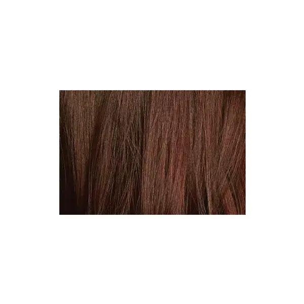 Tratamento de coloração capilar Logona Castanho Chocolate 100g