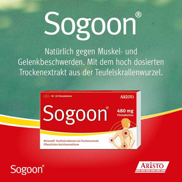 Sogoon Teufelskralle 480 mg Filmtabletten , 200 St