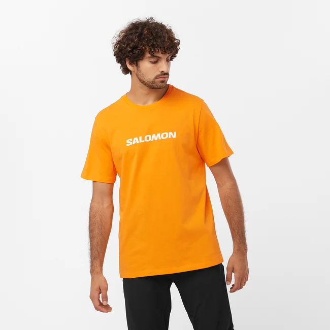 SALOMON LOGO PERFORMANCE  T-shirt à manches courtes pour homme