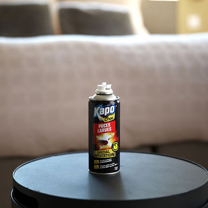 Aérosol puces et larves Kapo 200ml, 20 à 40 m2