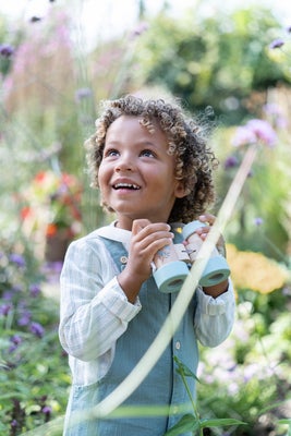 Little Dutch Kikkert, Forest Friends