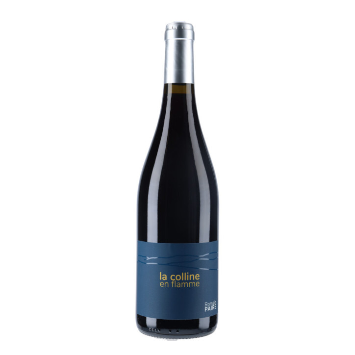 Romain Paire - Domaine des Pothiers 