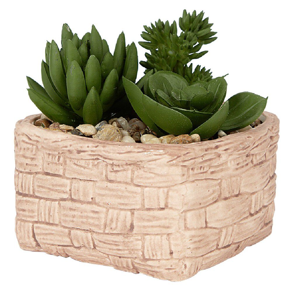 Plante grasse artificielle pot céramique style panier effet pierre