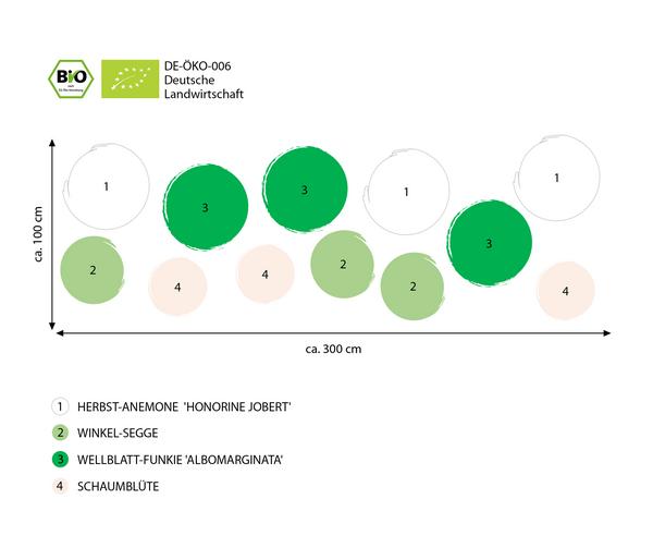 Bio Stauden-Set Schattengarten Weiße Akzente,