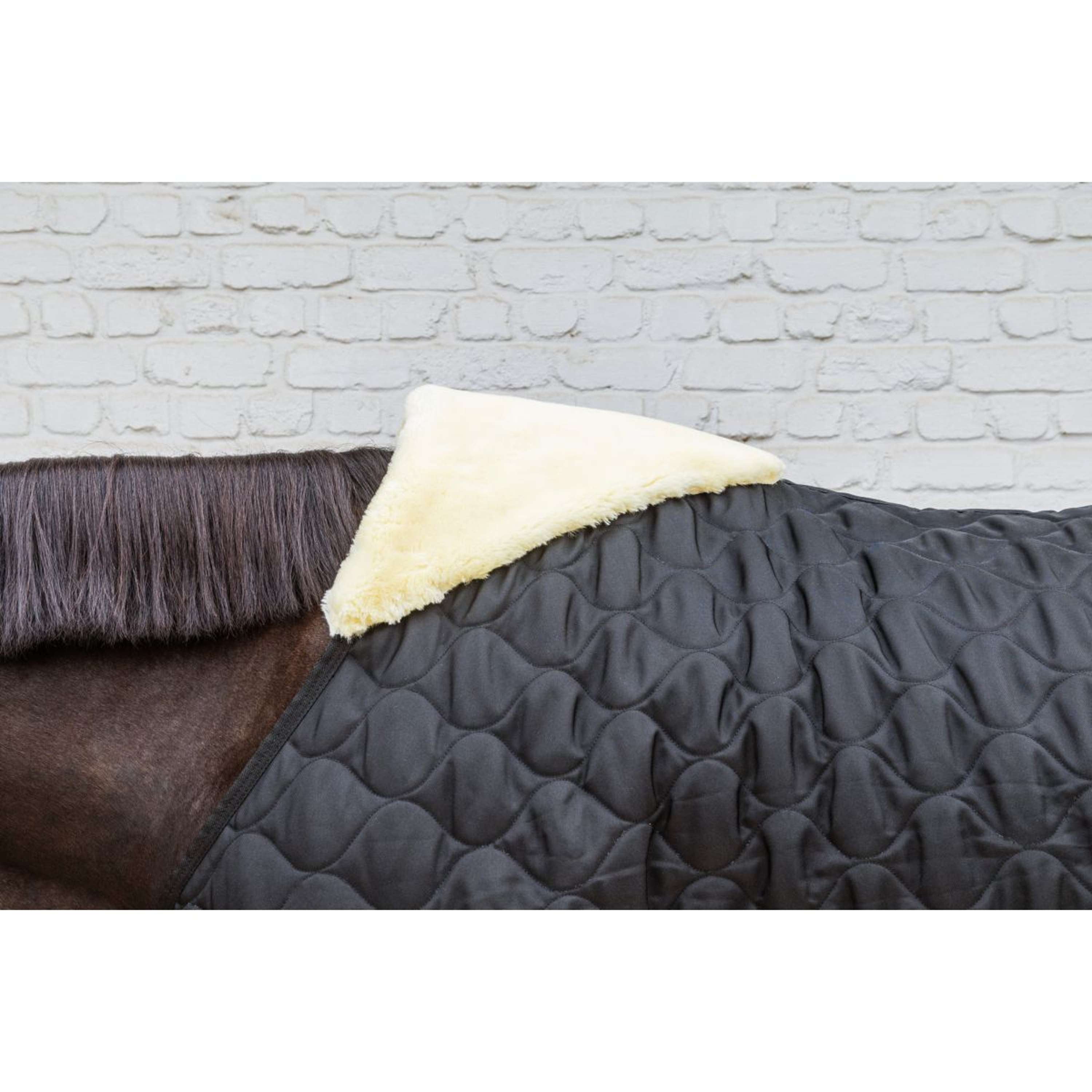 Kentucky Staldeken Comfort 100g Zwart
