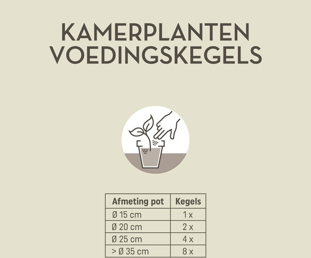 Pokon kamerplanten langwerkende voedingskegels 10st