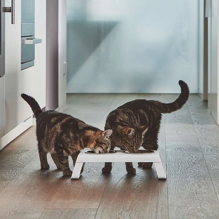MiaCara - Desco Katzennapfständer mit Edelstahlnäpfen S, weiss