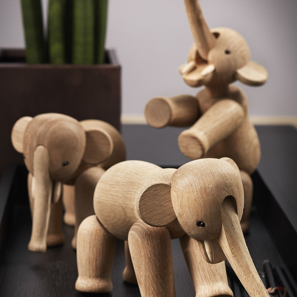 Elefant