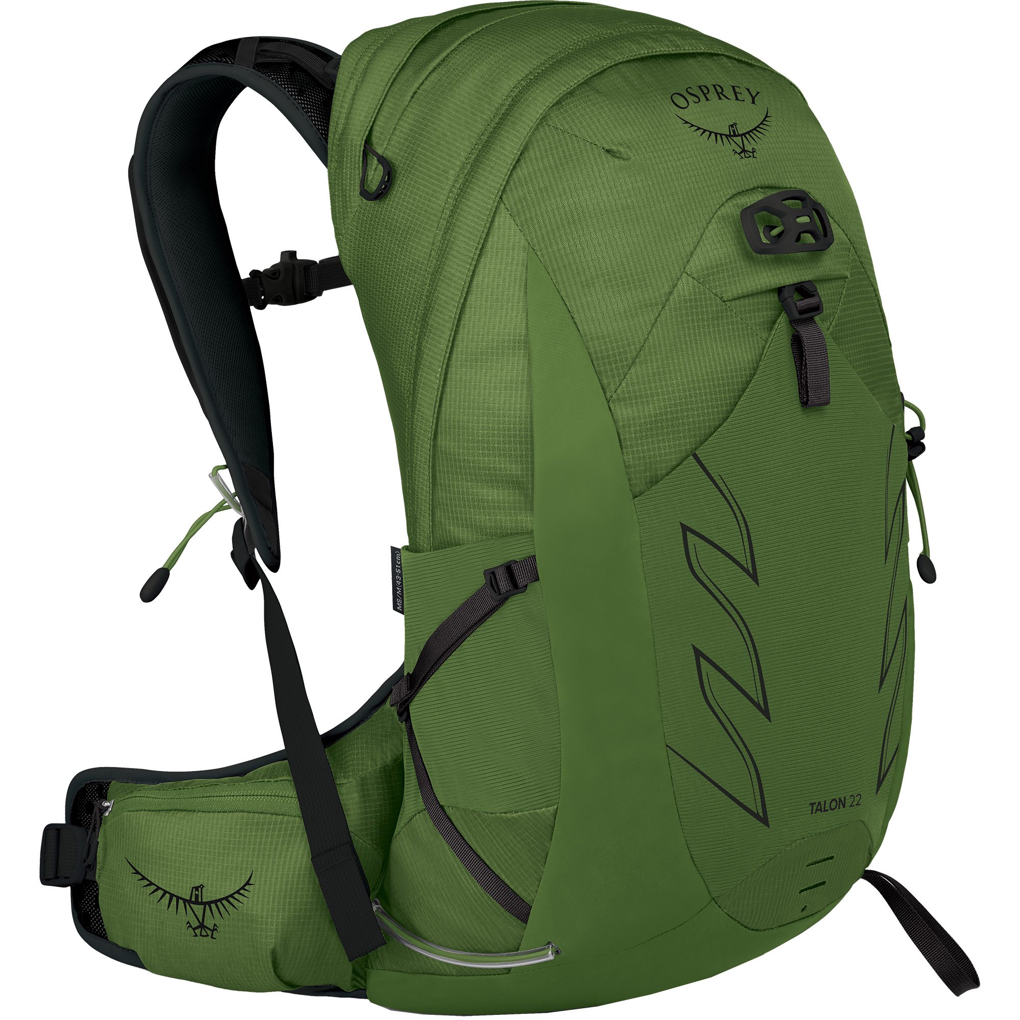Osprey Talon™ 22l Rucksack Herren green belt
