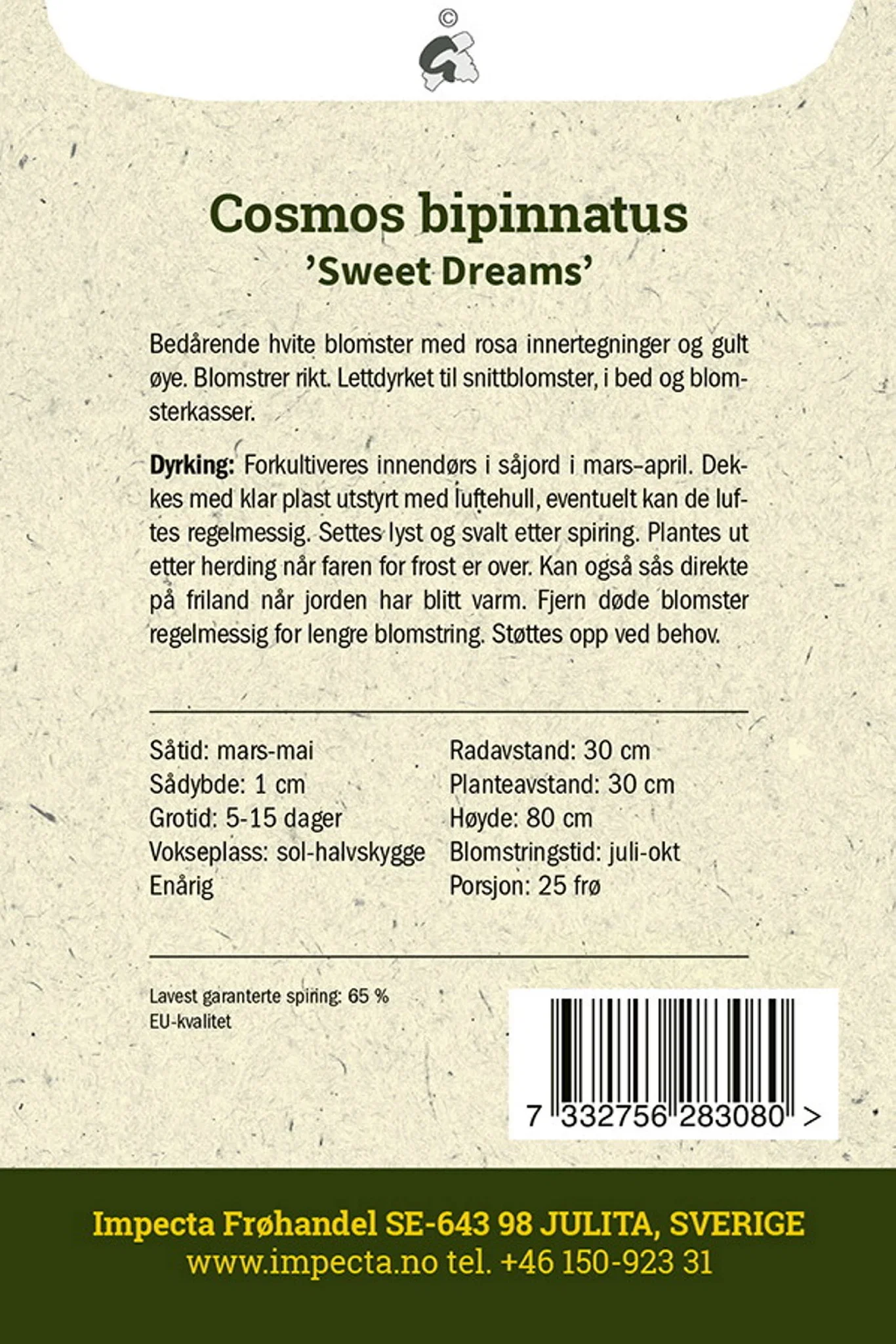 Cosmos bipinnatus 'Sweet Dreams' Pyntekurv  'Sweet Dreams'