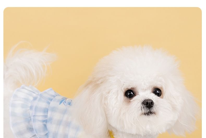 Cissilli - Geruite dierenjurk met meerdere lagen (verschillende ontwerpen)