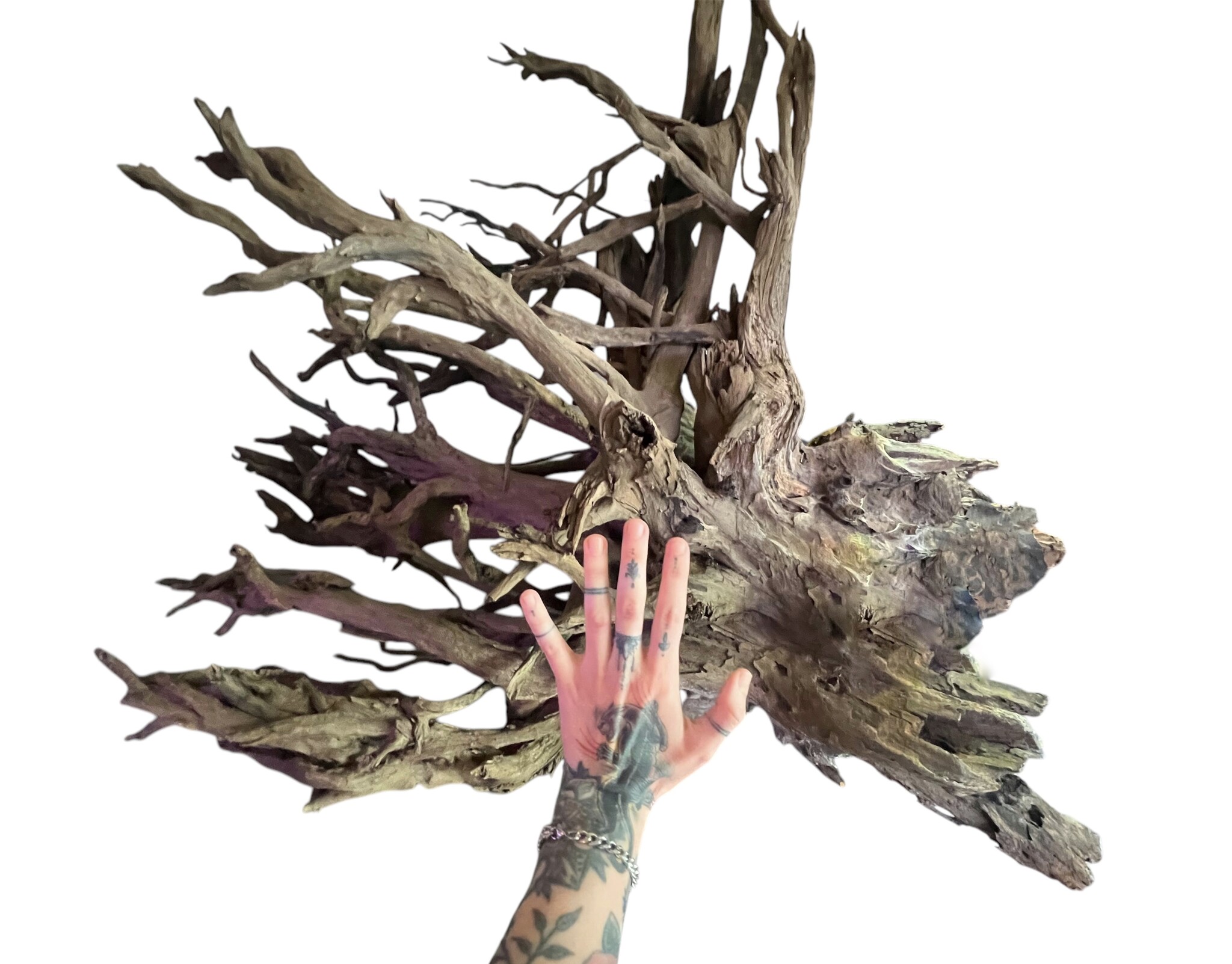 AQXL Selected CORBO-ROOT JUMBO XXL 80-120cm NR4