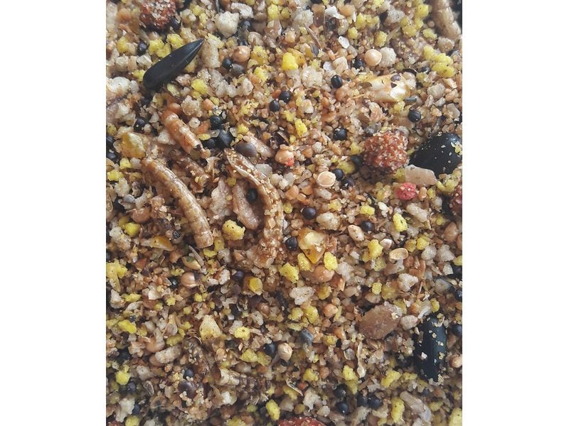Versele Laga Vogelfutter MN Nesting Blend 2.5 kg Wildvogelfutter für das ganze Jahr