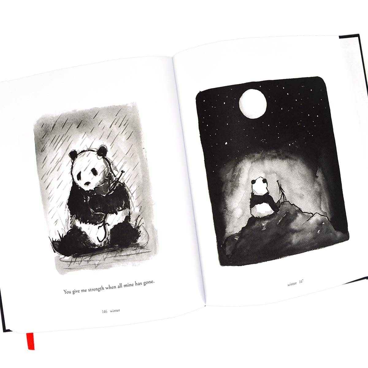 Big Panda and Tiny Dragon (Hardback)