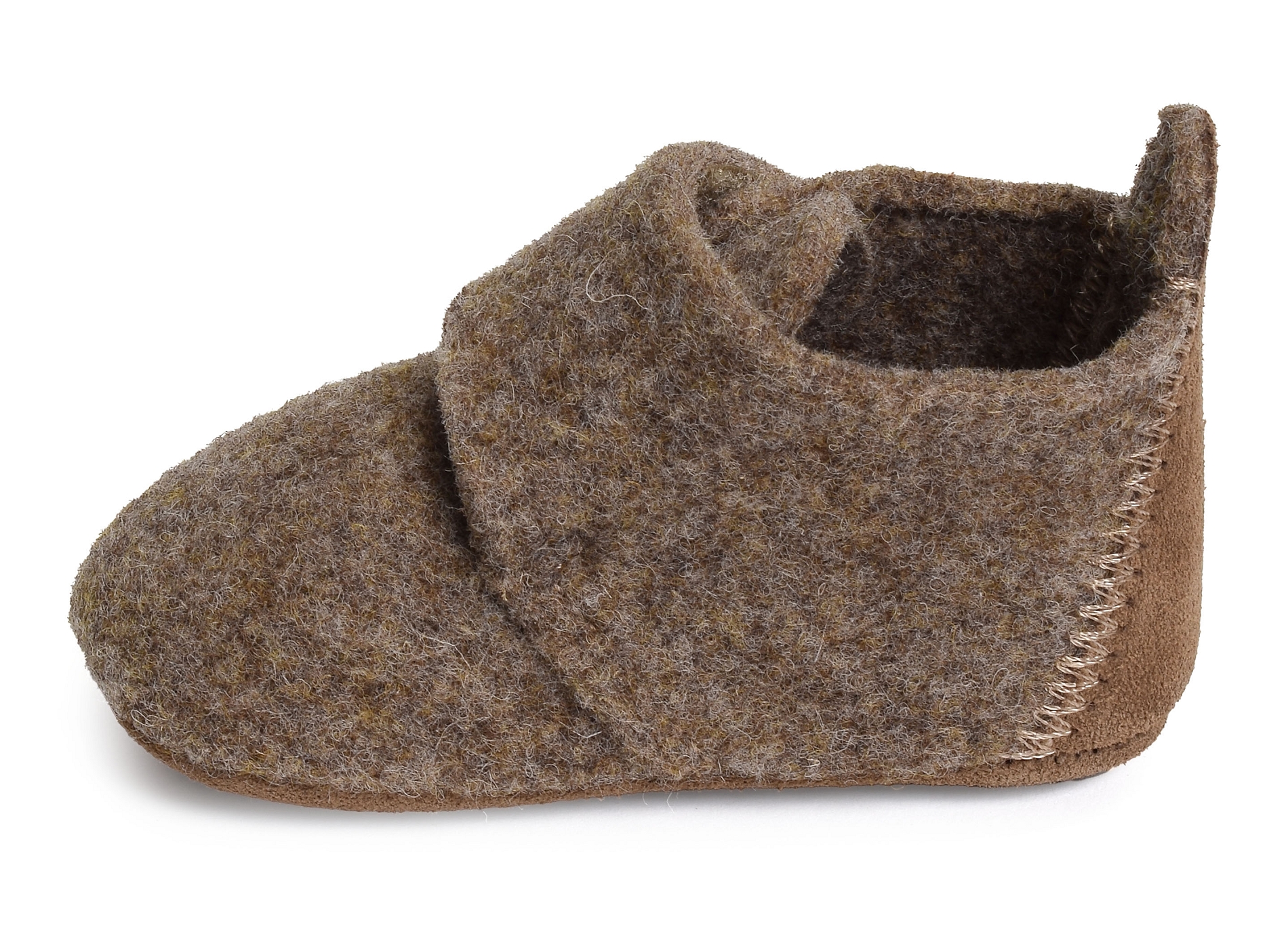 Baby wool camel
