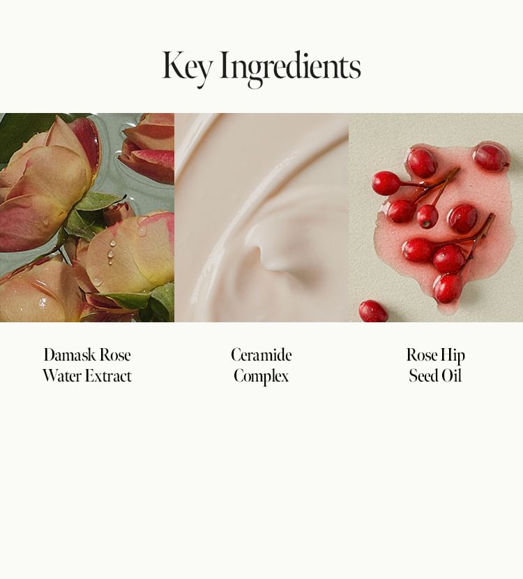 anillO - Rosy Night Repair Shampoo