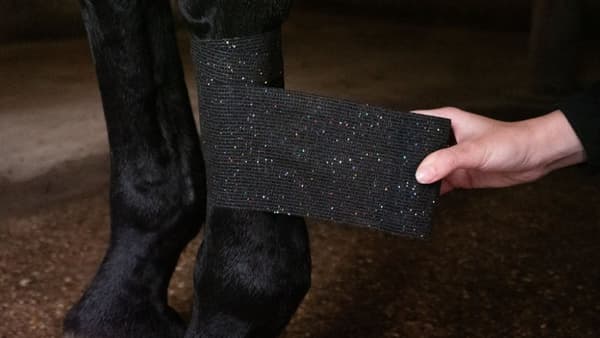 Bandasje Animal Blue Glitter Profi Plus 10 cm