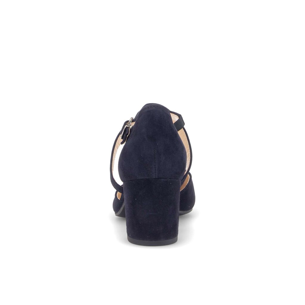 Bandpump blauw