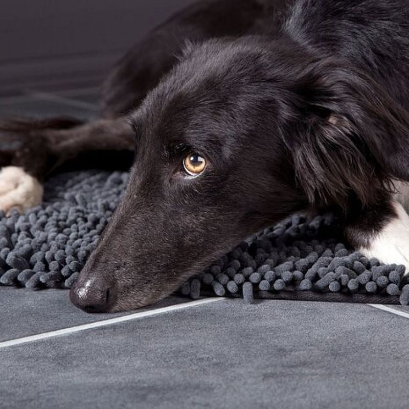 Scruffs Noodle Dry Mat Droogmat Hond | 13964