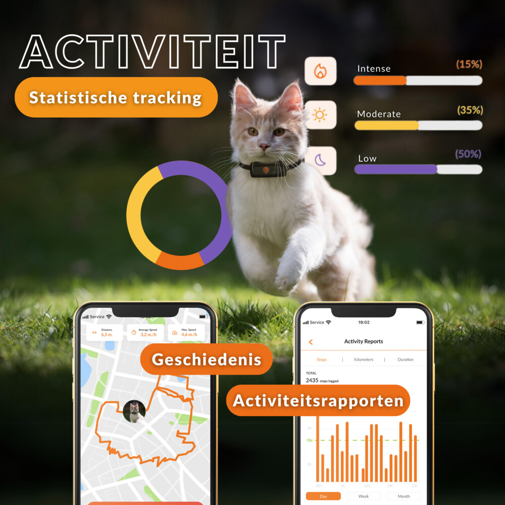 Weenect Gps Tracker Cat Black