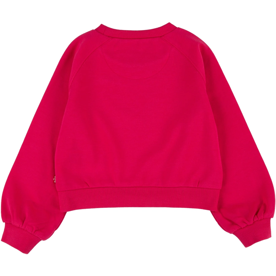 Levi's® Kids Sweatshirt rot