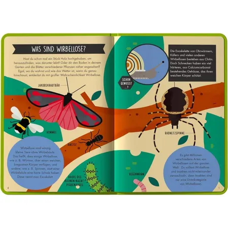HABA 304604 Terra Kids Entdecke die Insekten