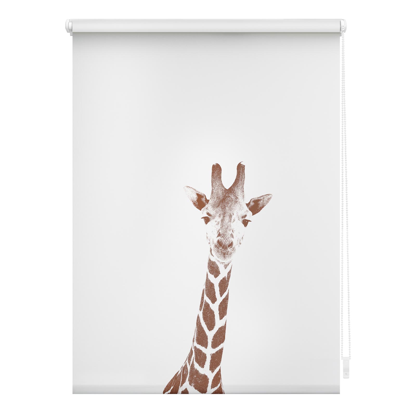 LICHTBLICK Rollo Klemmfix GIRAFFE - weiß-braun - 60x150 cm