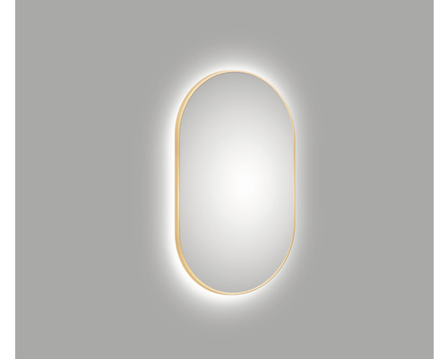 LED Spiegel DSK Ovaal IP 20