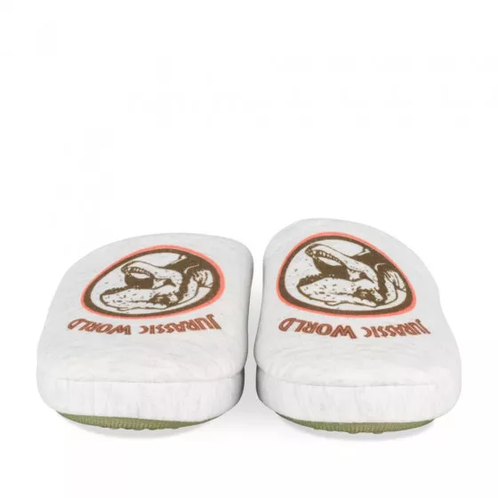 Chaussons GRIS JURASSIC WORLD
