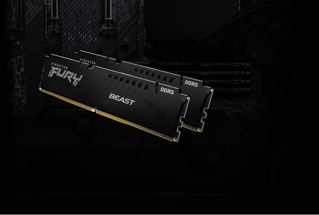 Kingston FURY Beast 64GB DDR5 RAM 5600MT/s CL36 (sort)