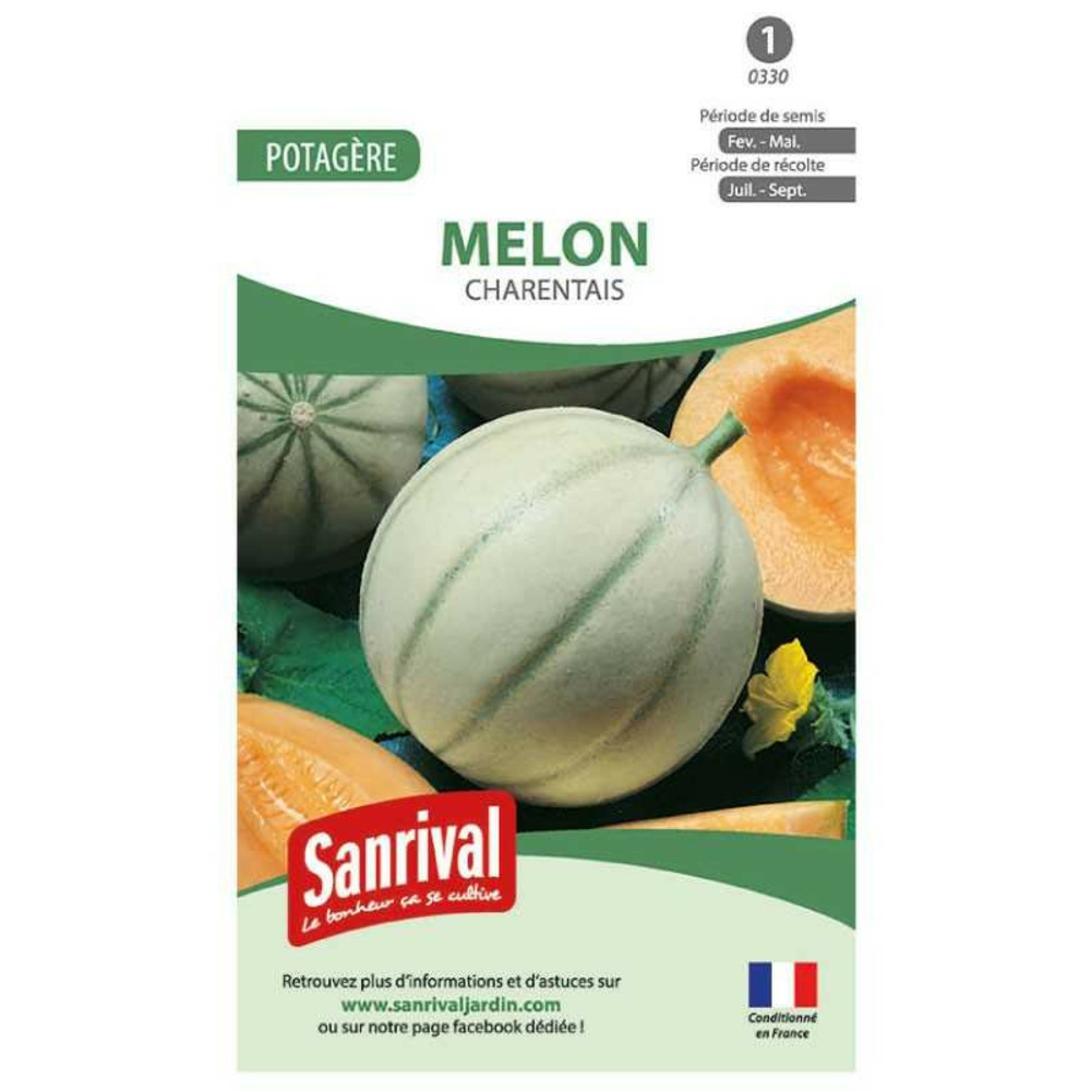 Graines melon charentais