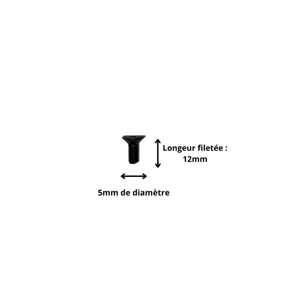 Vis M5x12 à Tête Fraisée et Empreinte Allen (Pack de 10)