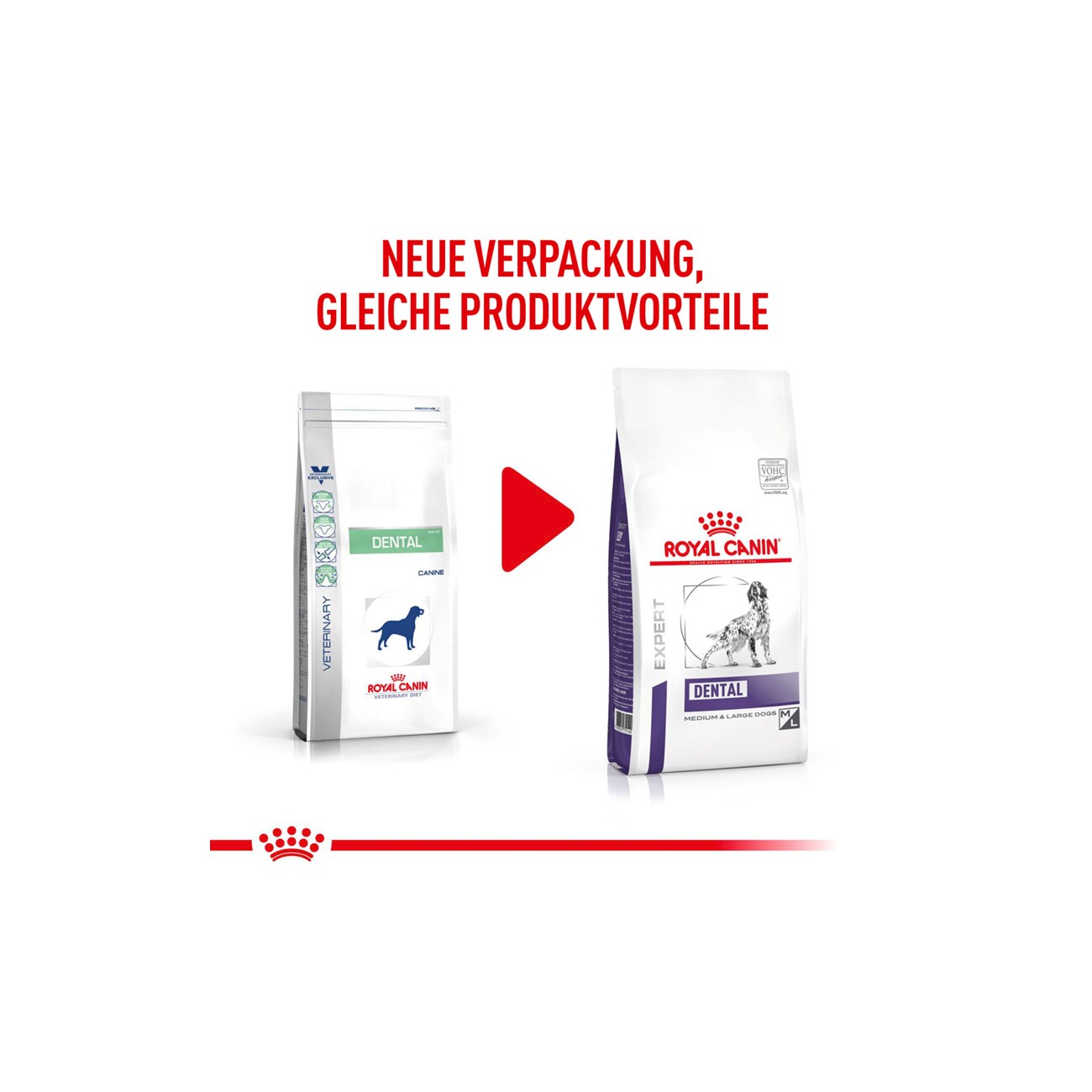 ROYAL CANIN Expert Dental Medium & Large Dogs 6 kg