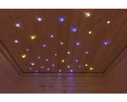 Sterrenhemel LED Caribou