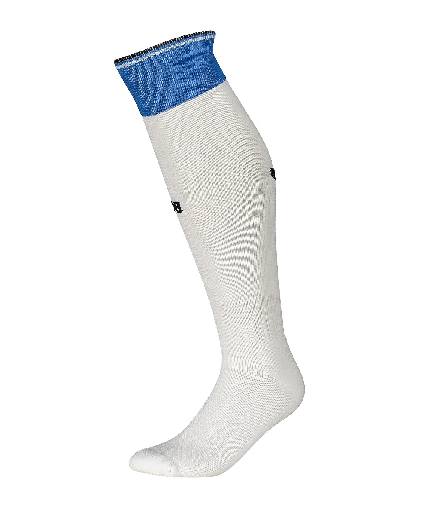 Castore FC Brügge Strumpfstutzen Away 2024/2025 Weiss F001