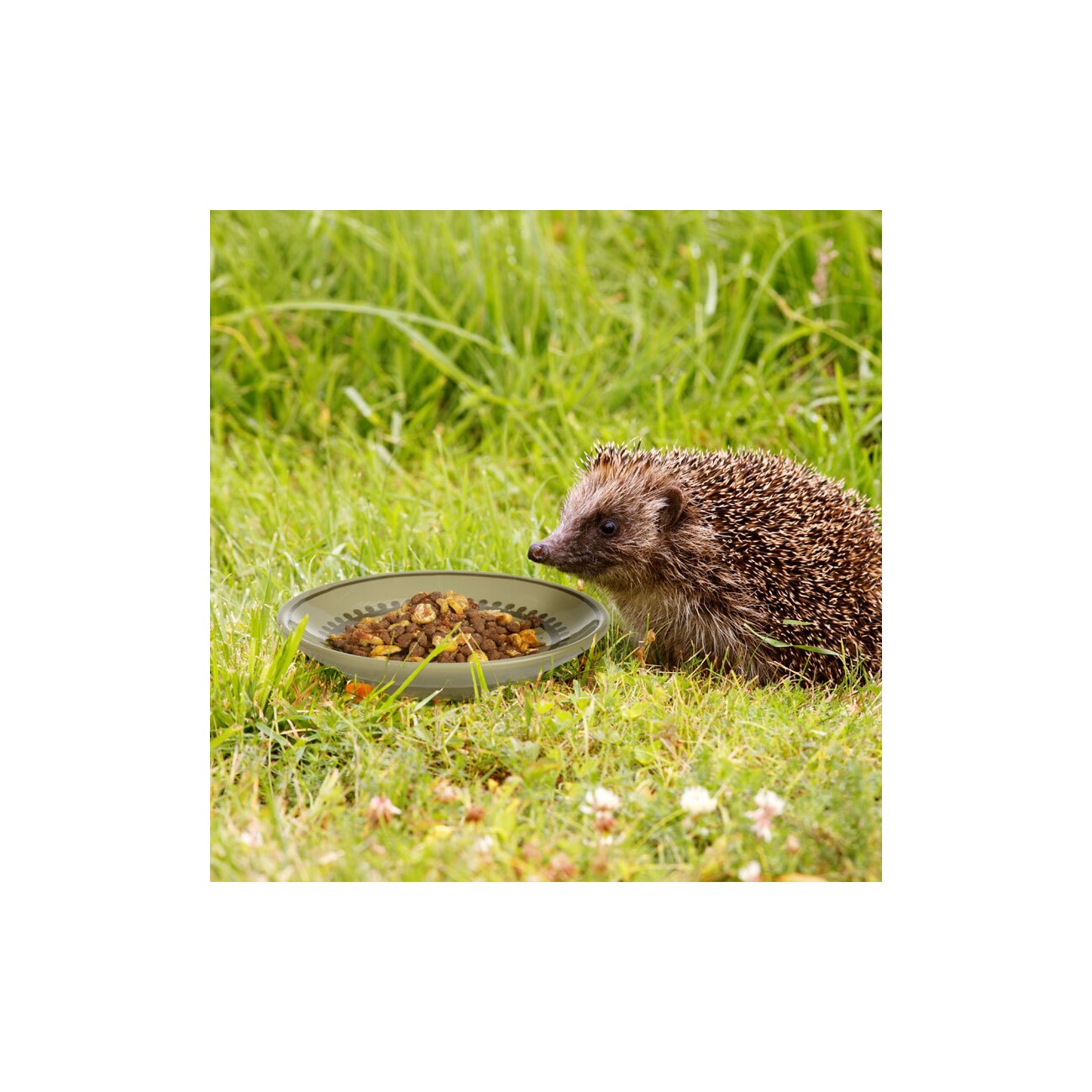 AniOne Keramikschale Igel