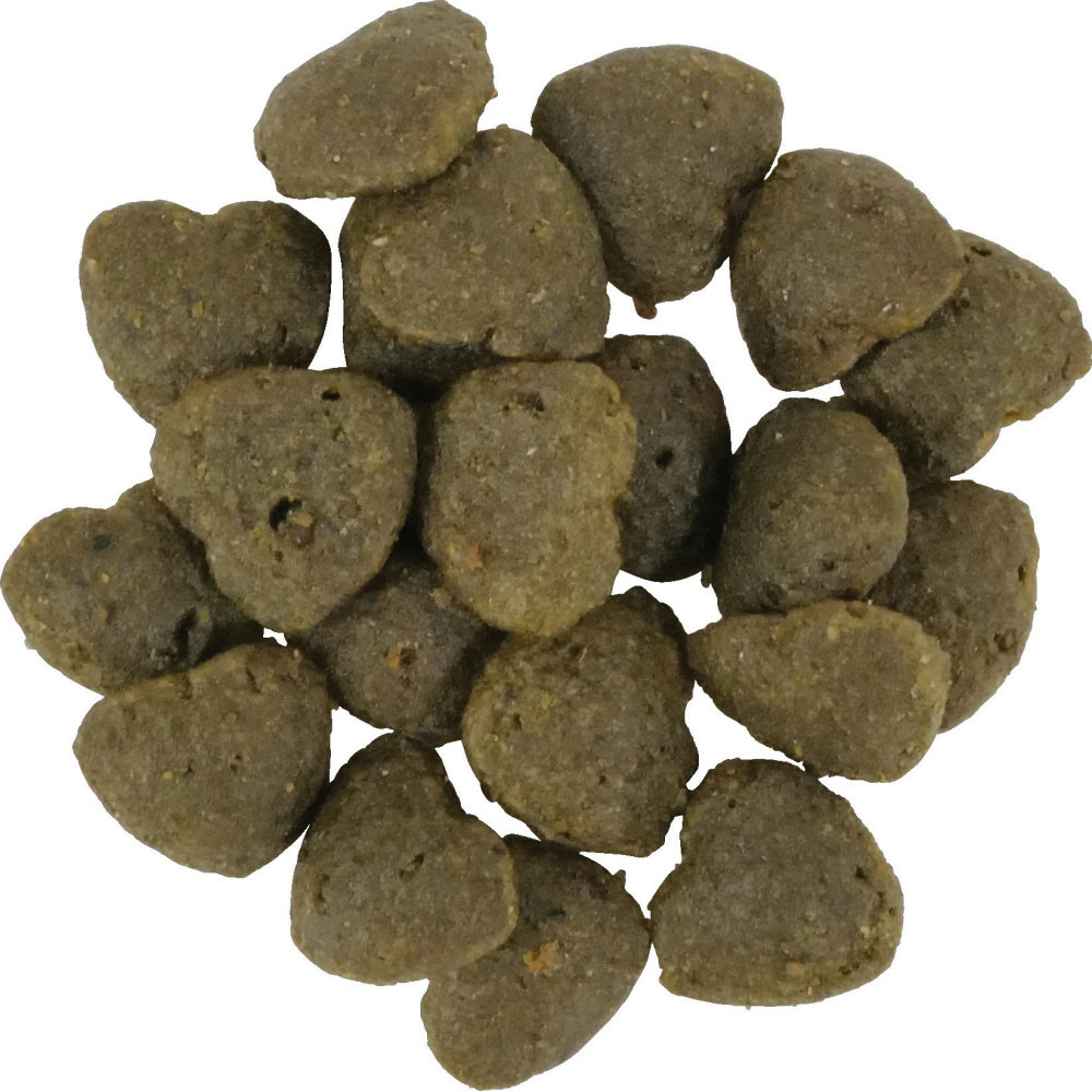 Friandises aux insectes 100 g pour chat sensible