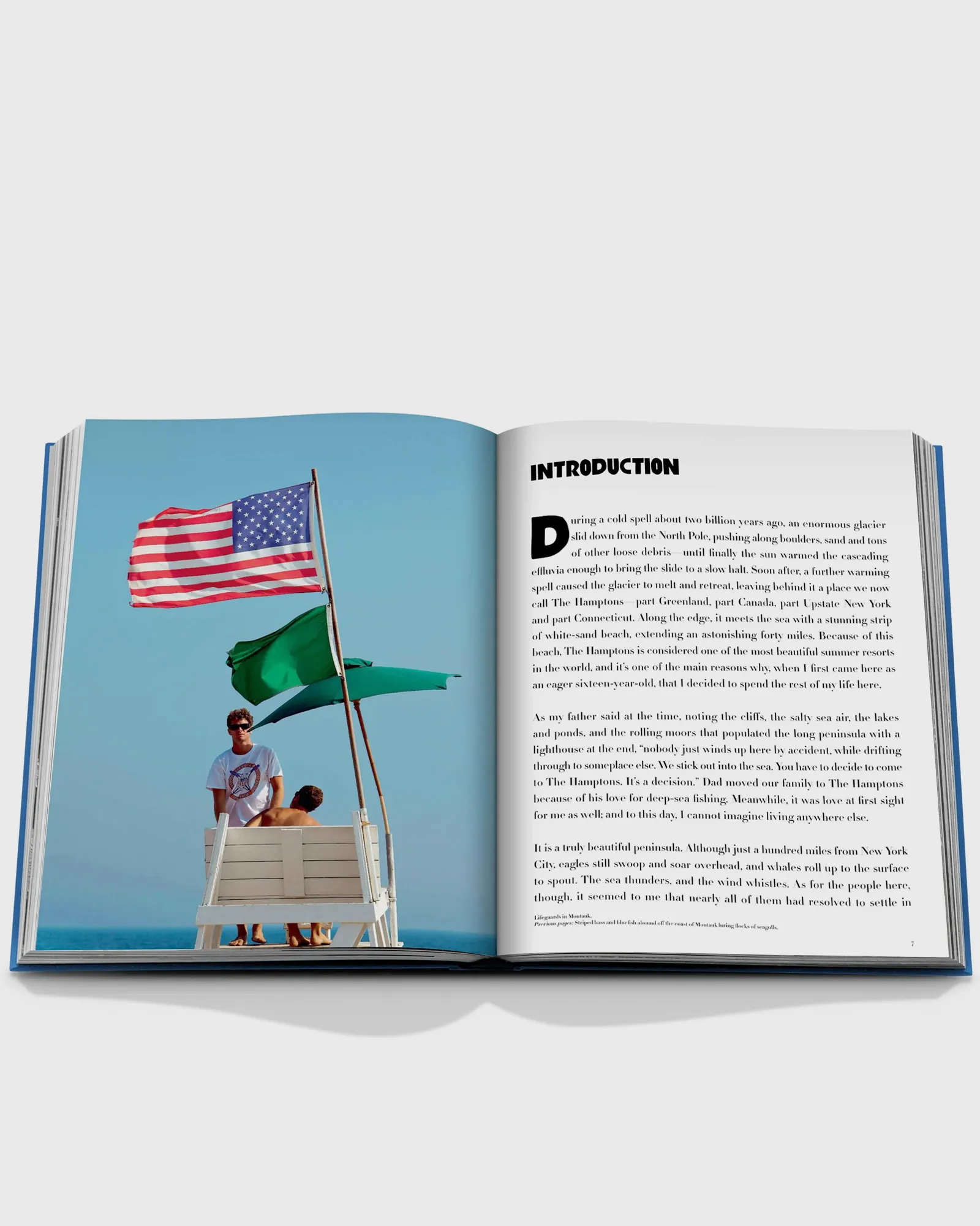 Assouline “Hamptons Private” by Dan Rattiner