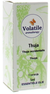 Volatile Thuja (Thuja Occidentalis) 5ML