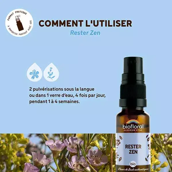 Spray Biofloral Stay Zen Orgânico Demeter Spray Emotions 20 ml