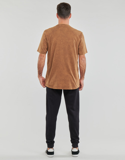 Adidas Sportswear - ALL SZN W T - Marron