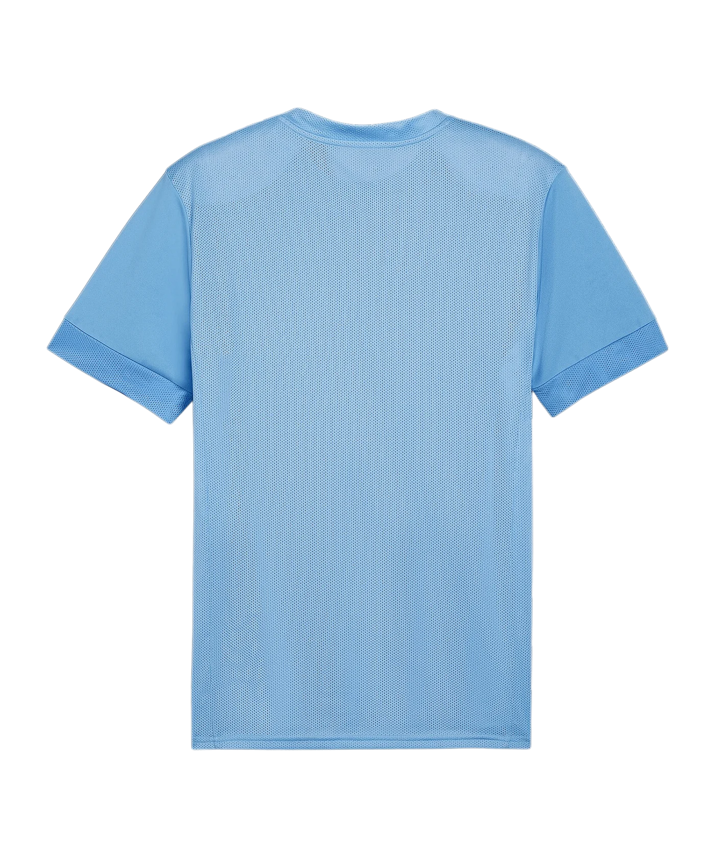 PUMA teamGOAL Matchday Trikot Blau Weiss F18
