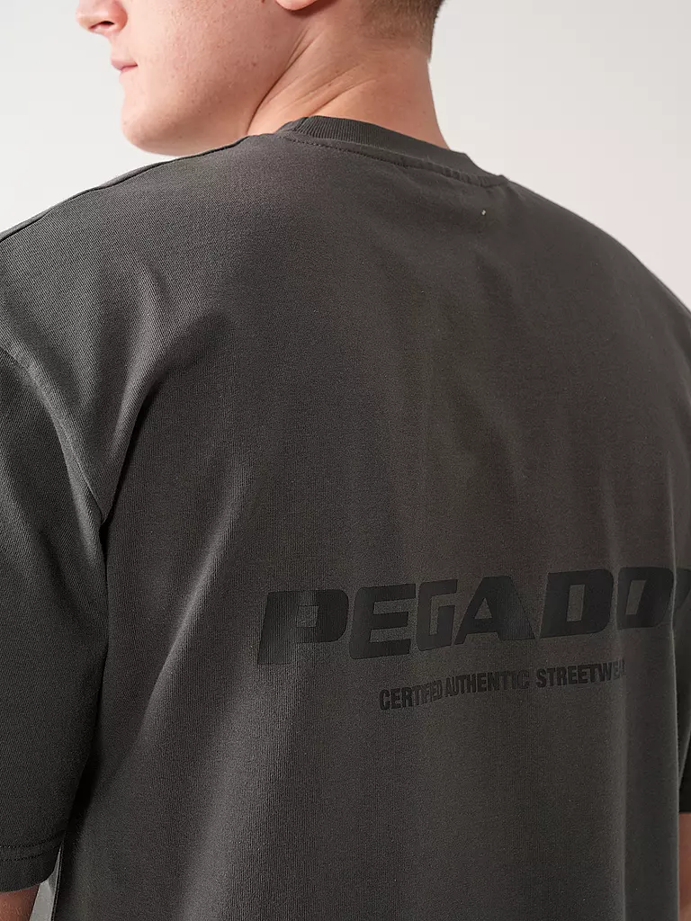 PEGADOR T-Shirt COLNE  grau